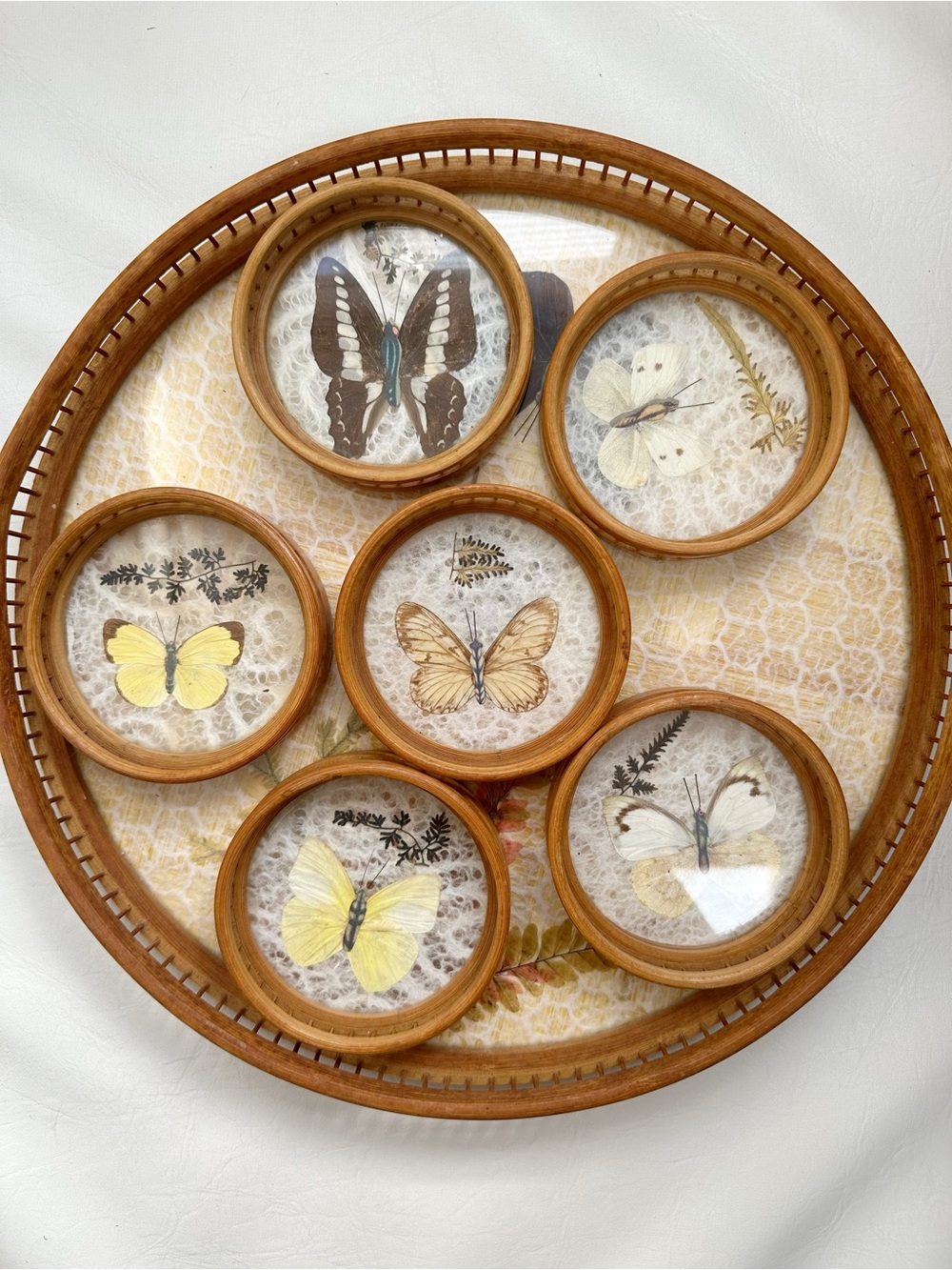 Vintage Bamboo Butterfly Tray with Coasters: Mid-Century Curiosity Decor